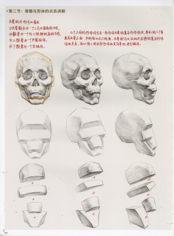 美术联考素描头像10.png