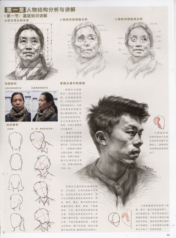 美术联考素描头像09.png