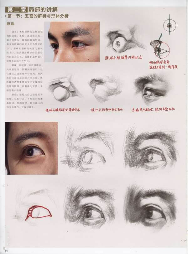 局部的讲解22.jpg