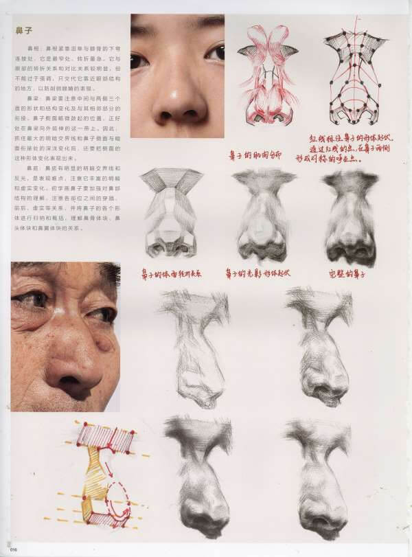 局部的讲解24.jpg