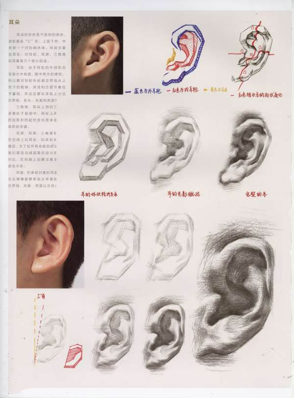 局部的讲解28.jpg